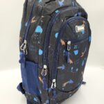 Ghiozdan scoala baieti